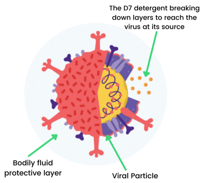 D7 disinfectant detergent (2)-1